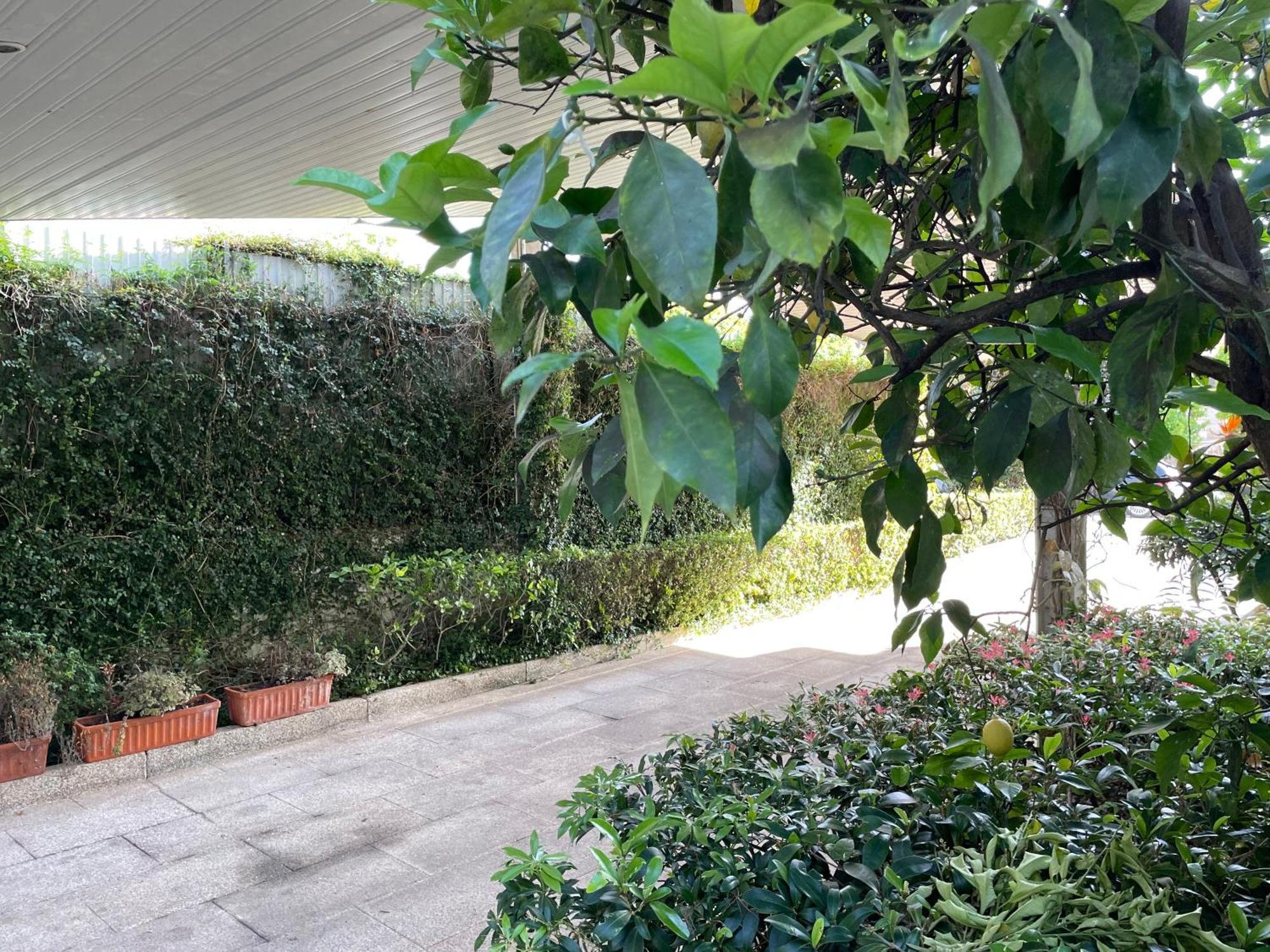 فيلا Casa Do Paco غيمارايش المظهر الخارجي الصورة